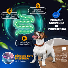 Laad de afbeelding in de galerijviewer, Vetiness Fiber Active Probiotics - voor een goede darmgezondheid - Enterococcus Faecium - bevordert de groei van nuttige darmbacteriën
